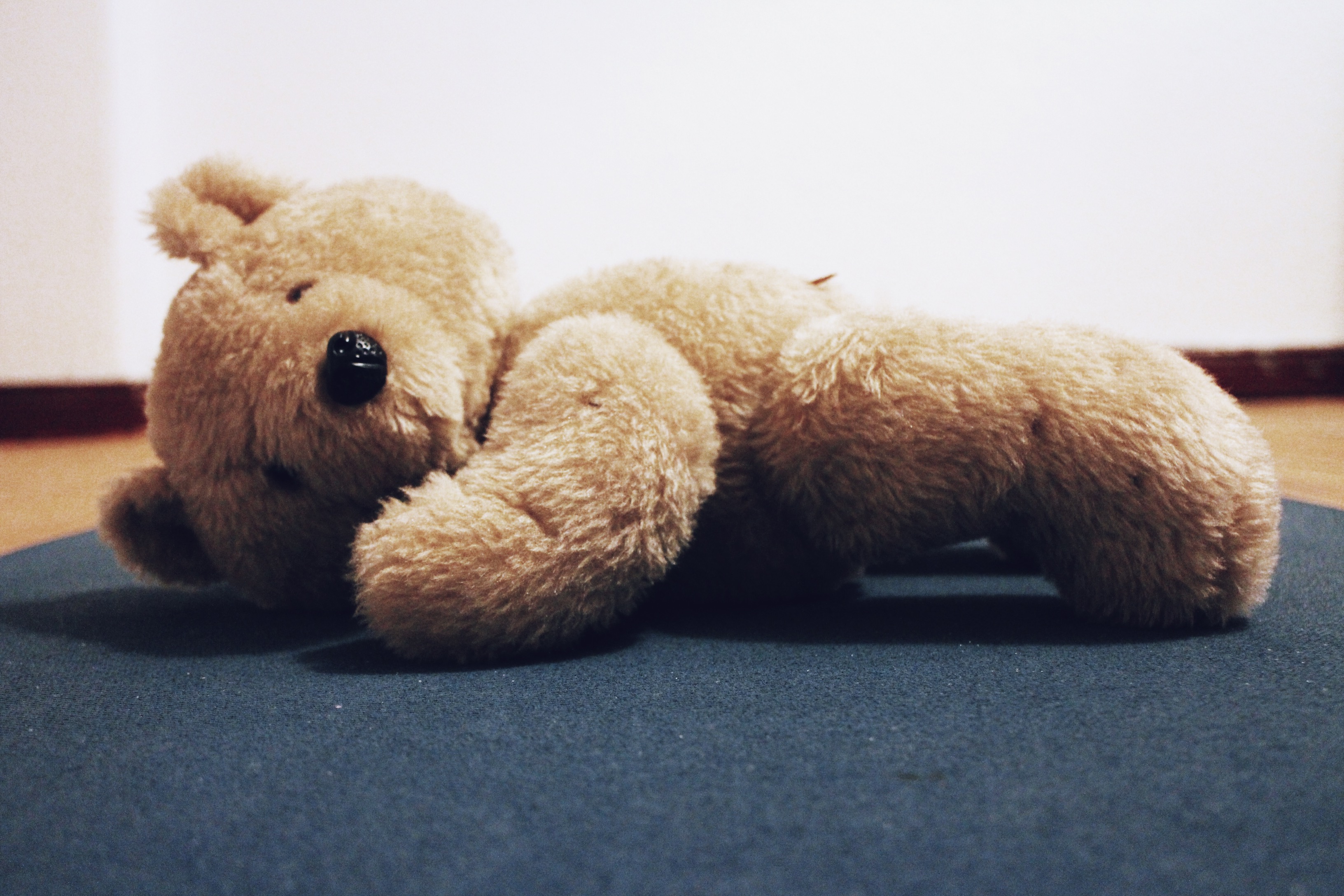 Teddy auf der Yogamatte